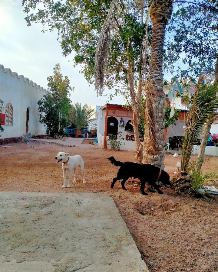 Ostello Nook Dahab Esterno foto
