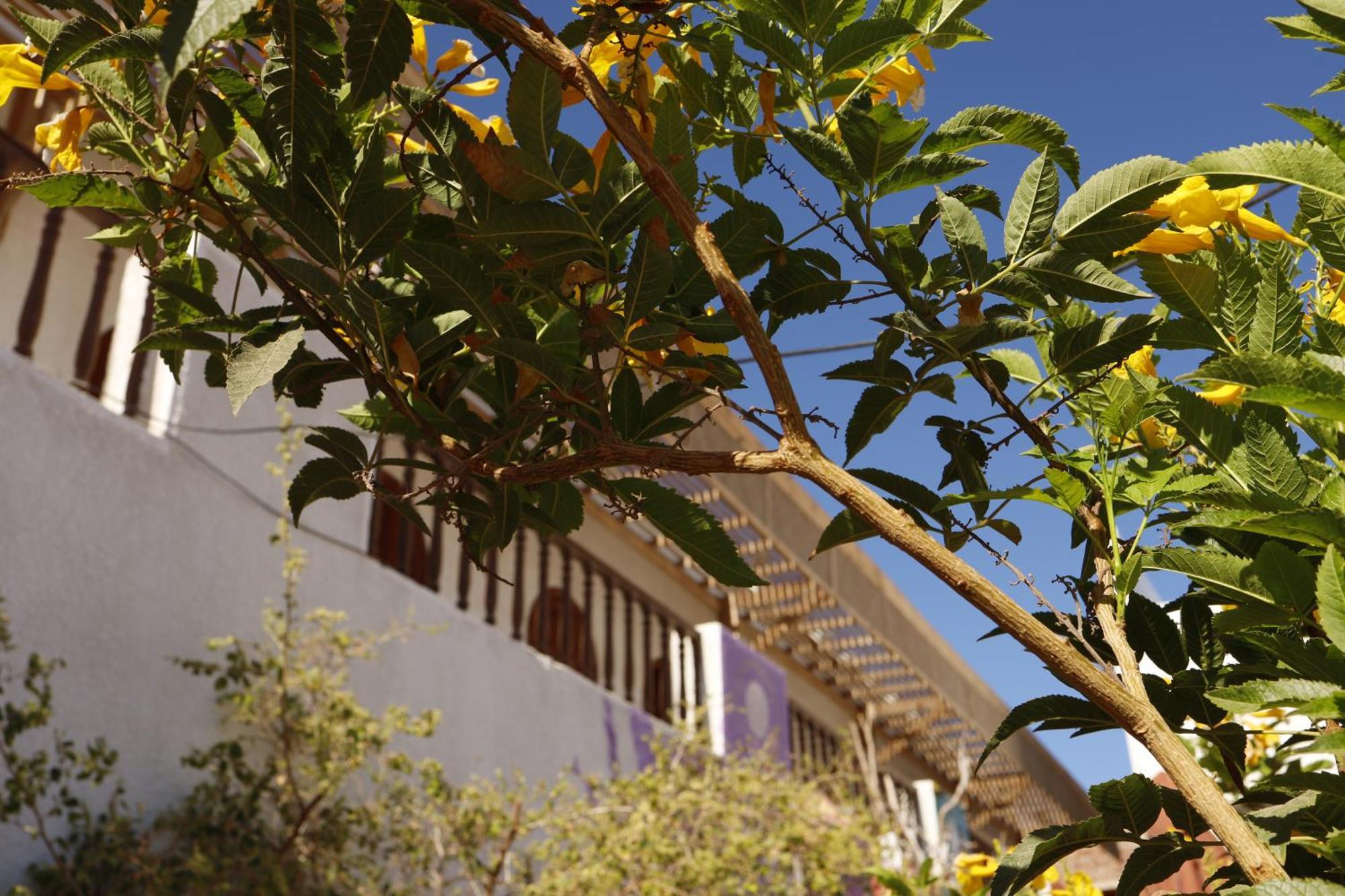 Ostello Nook Dahab Esterno foto